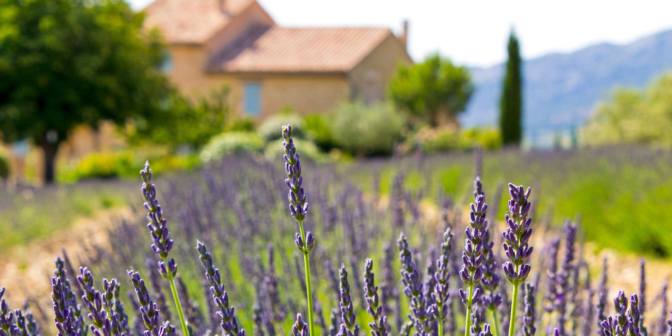 La Presserie view in France